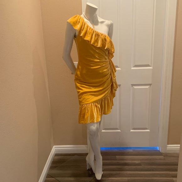 Mestiza New York Flamenco Velvet Ruffle Dress - Picture 2 of 8